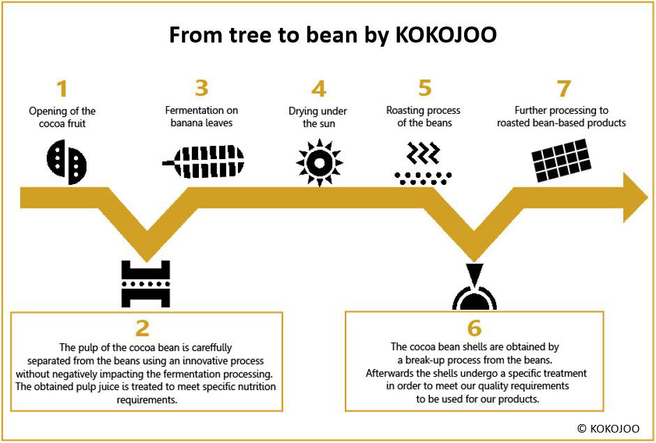 kokojoo